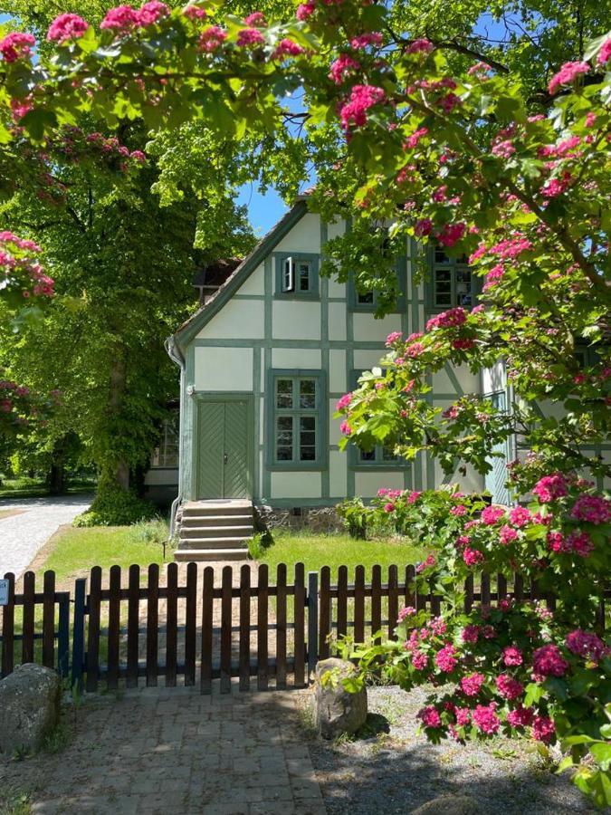 Jagdschloss Friedrichsmoor Neustadt-Glewe Bagian luar foto